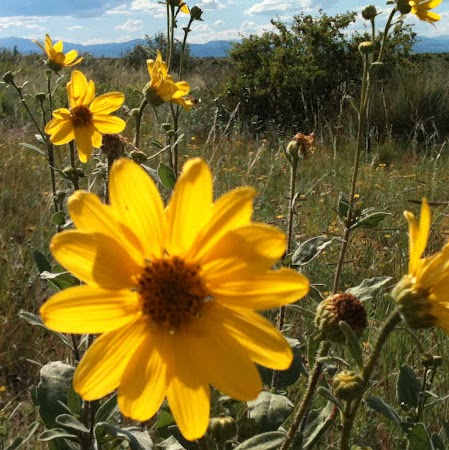 Kathleen Tierney Photo 34