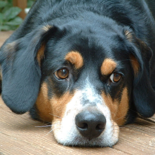 Cindy Pennington Photo 10