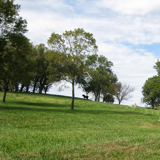 Barbara Willis Photo 11