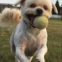 Debbie Gregory Photo 31