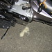Kevin Rice Photo 32