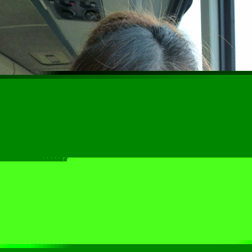 Michelle Shen Photo 9