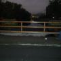 Elizabeth Strader Photo 17