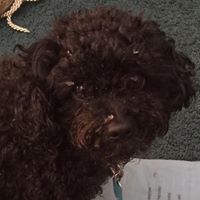 Teri Elliott Photo 12