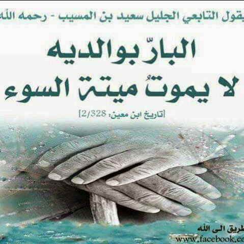 Ali Sobh Photo 26