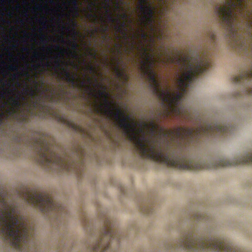 Samantha Allison Photo 17