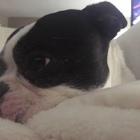 John Colwell Photo 12 John Colwell Photo 12