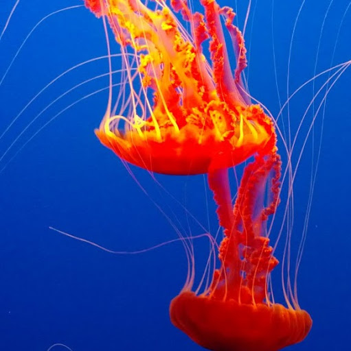 Sheena Varghese Photo 16