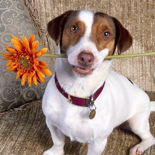 Tracie Turner Photo 10