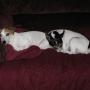 Karen French Photo 6