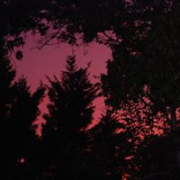 Laura Hunter Photo 22 Laura Hunter Photo 22