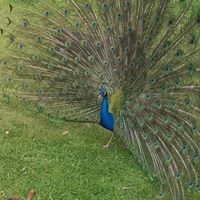 Dorothy Christiansen Photo 21