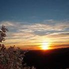 Linda Branam Photo 4