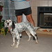 Loretta Bruce Photo 22