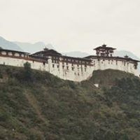Thinlay Dorji Photo 5