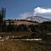 Helen Mcbride Photo 9