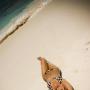 Vivian Chen Photo 50