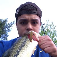 Luis Melendez Photo 19