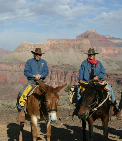 Susan Danner Photo 13