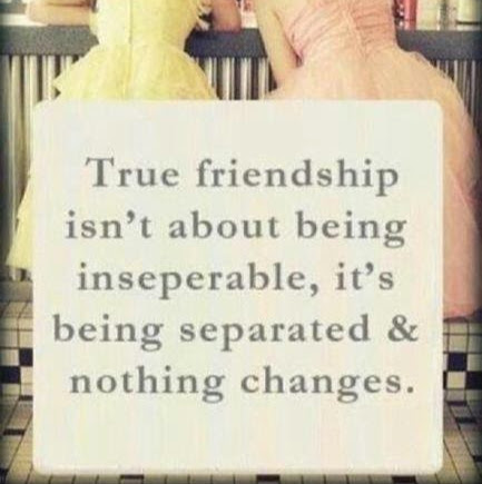 Shannon Kingston Photo 19