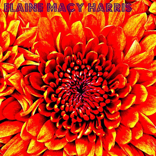 Elaine Harris Photo 12