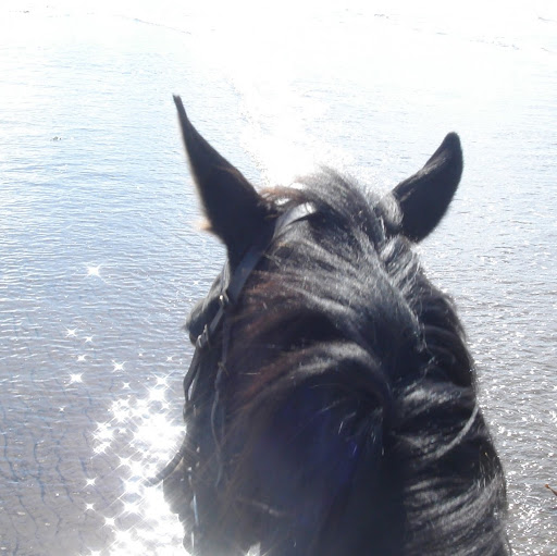 Linda Shields Photo 17