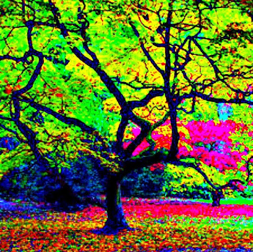 Jackie Sharp Photo 14 Jackie Sharp Photo 14