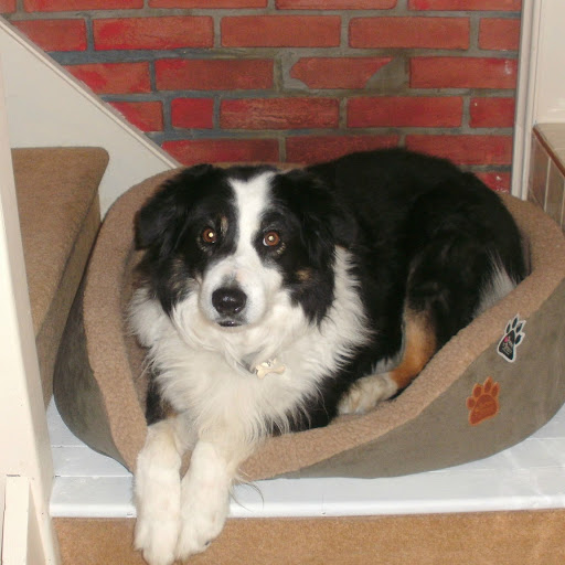 Julie Kenyon Photo 5