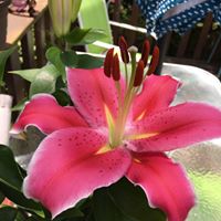 Judith John Photo 20