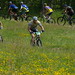 Bruce Scott Photo 22