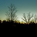 Debra Gilmore Photo 10