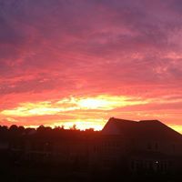 Patricia Diener Photo 6