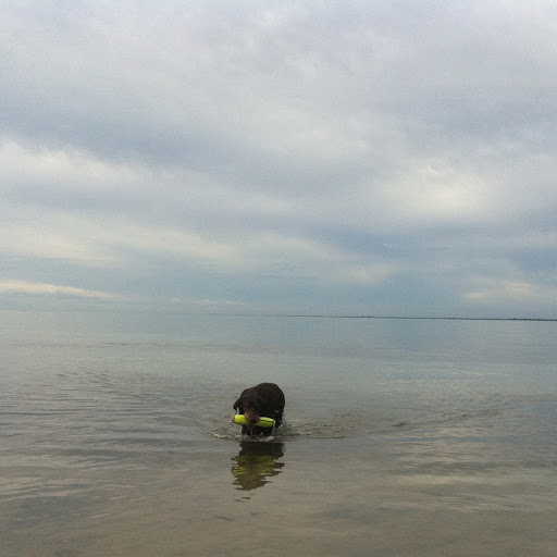 Stacy Wallace Photo 17