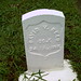 David Reed Photo 20