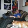 Paul Willis Photo 11