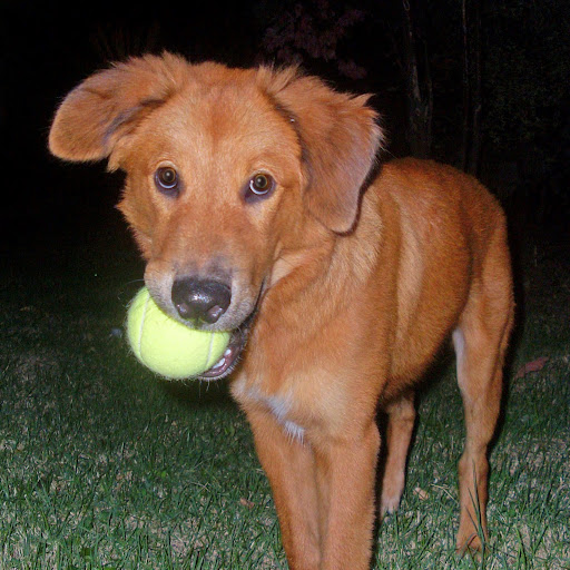 Albert Paris Photo 9