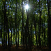 Dawn Cox Photo 16