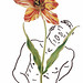 Robert Flowers Photo 33