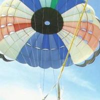 Timothy David Photo 19