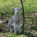 Leigh Lamb Photo 11