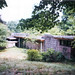 Dorothy Wright Photo 28