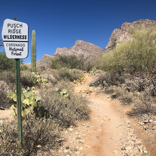 Joshua Rodgers Photo 36 Joshua Rodgers Photo 36