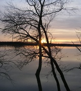 William Matthews Photo 9