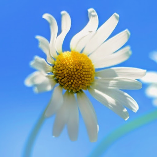 Cindy Bradley Photo 37