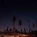 Adam Sparks Photo 3