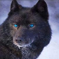 Linda Breedlove Photo 21