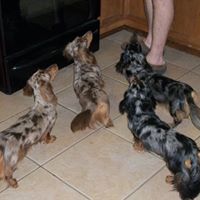 Janet Mauldin Photo 20