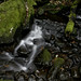 Amy Strickland Photo 2
