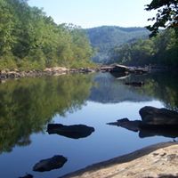 Debbie Mcclung Photo 20