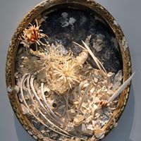 Lisa Taber Photo 33